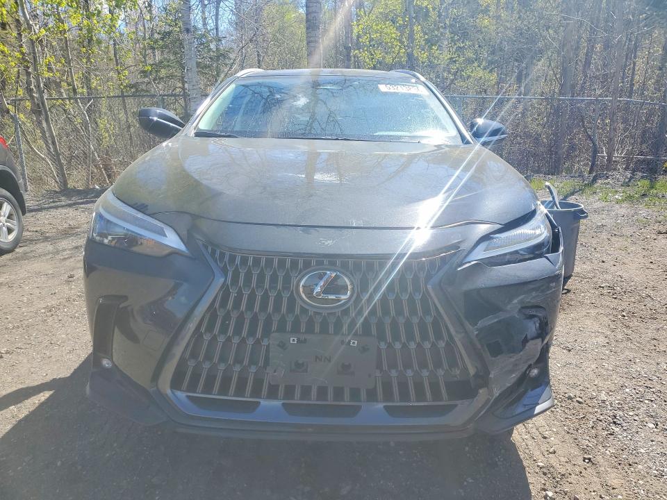 Продажа на аукционе авто 2024 Lexus Nx 350h, vin: 2T2GKCEZ4RC018212, номер лота: 53213836