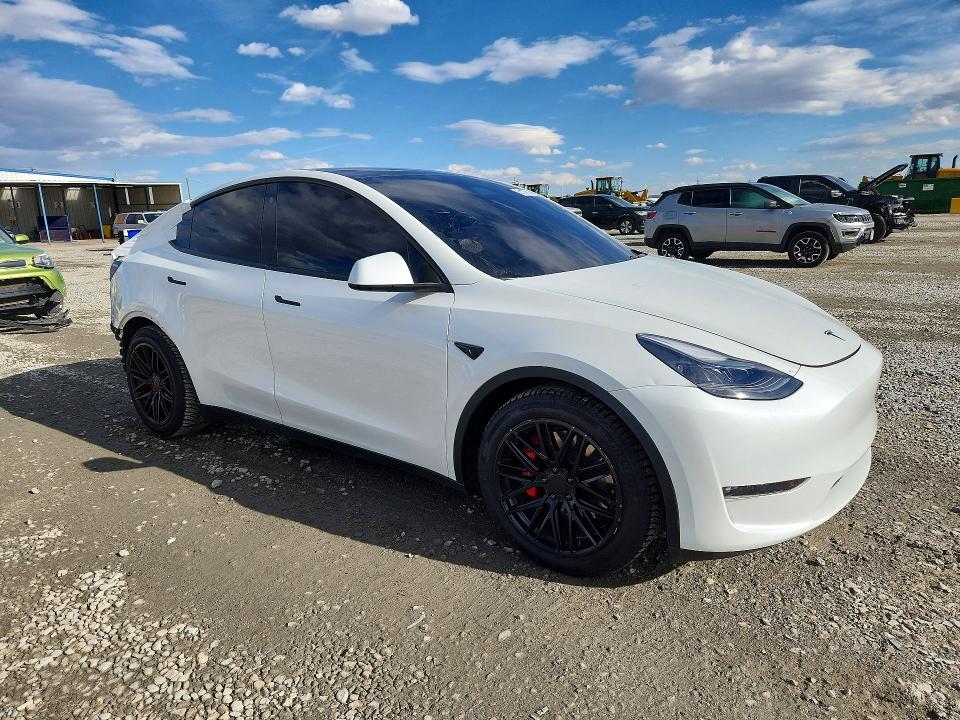Aukcja sprzedaży 2023 Tesla Model Y, vin: 7SAYGDEF3PF784126, numer aukcji: 51778116