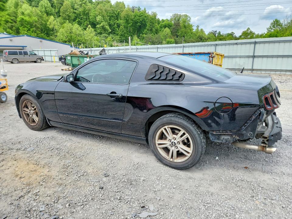 52402996 :رقم المزاد ، 1ZVBP8AM0E5254044 vin ، 2014 Ford Mustang مزاد بيع
