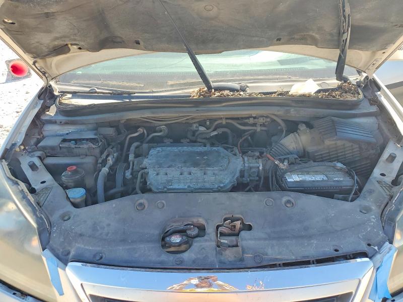 53629816 :رقم المزاد ، 5FNRL38737B449671 vin ، 2007 Honda Odyssey مزاد بيع