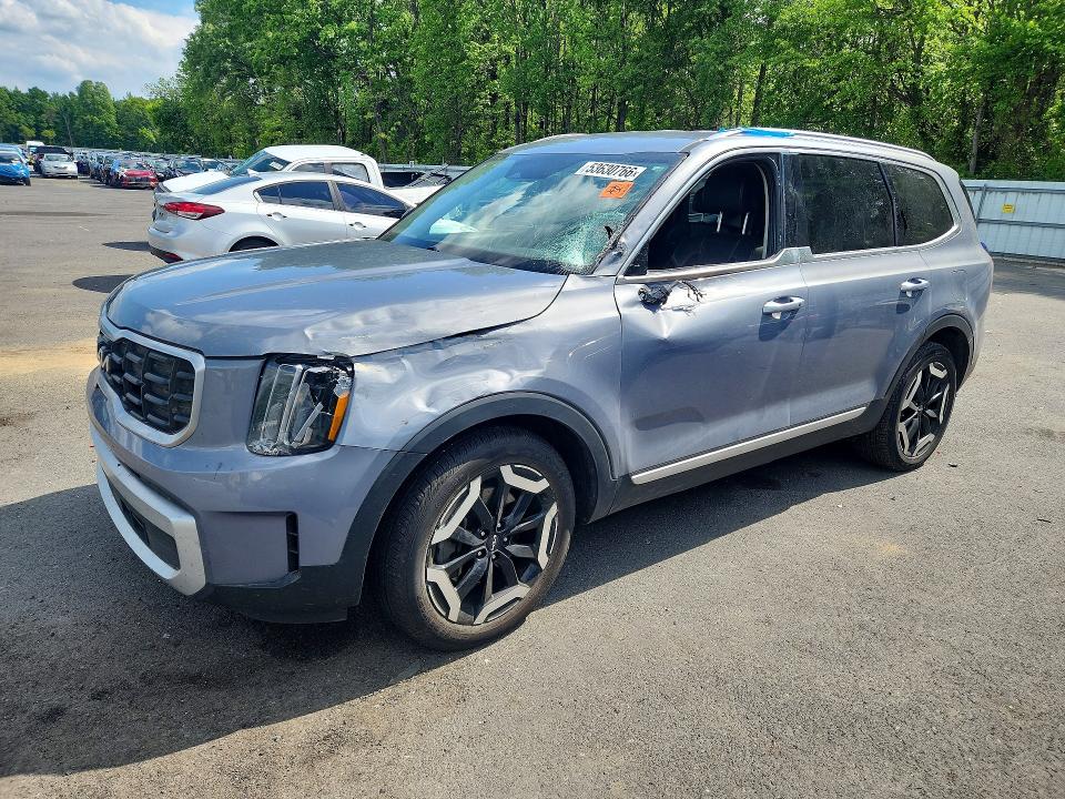 Продажа на аукционе авто 2024 Kia Telluride, vin: 5XYP6DGC6RG502698, номер лота: 53630766