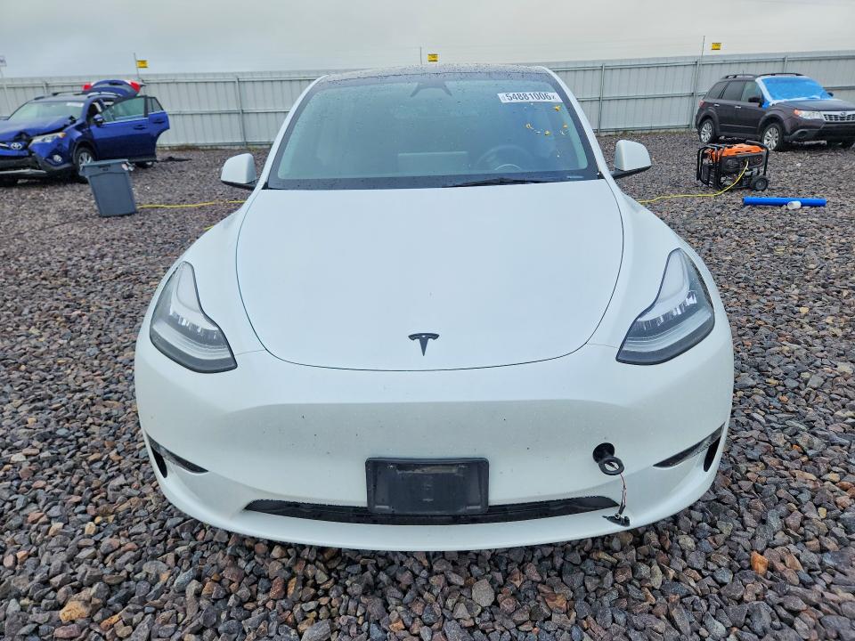 Продажа на аукционе авто 2023 Tesla Model Y, vin: 7SAYGDEE7PA141234, номер лота: 54881006