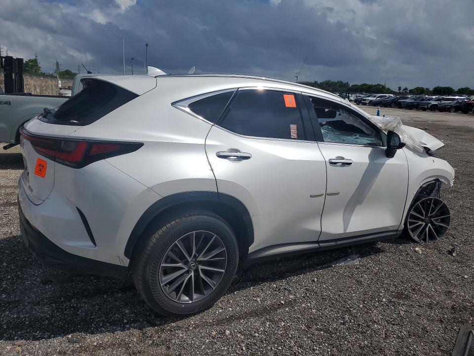 Продаж на аукціоні авто 2025 Lexus Nx 250, vin: JTJADCAZ2S5024066, номер лоту: 53825066