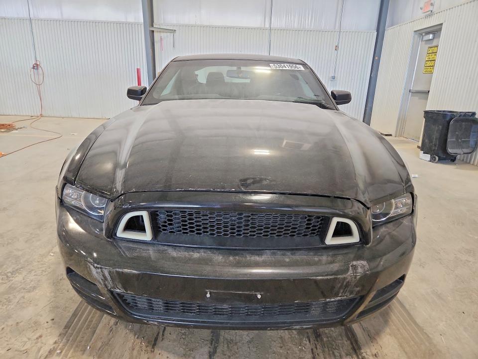 Aukcja sprzedaży 2014 Ford Mustang, vin: 1ZVBP8AM6E5204653, numer aukcji: 53041956