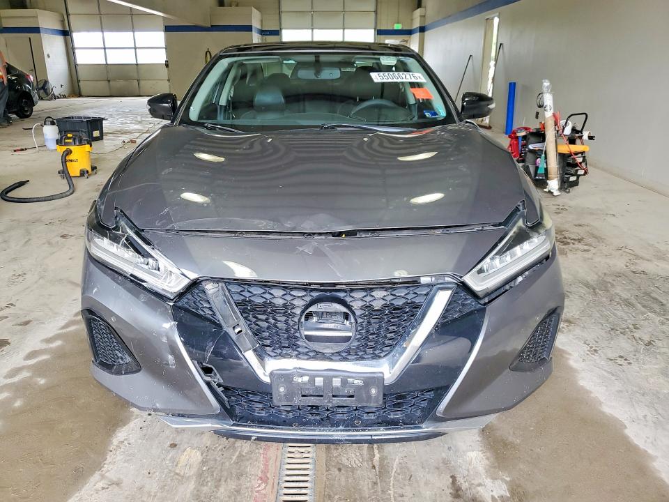 Продажа на аукционе авто 2019 Nissan Maxima, vin: 1N4AA6AV5KC380409, номер лота: 55066276