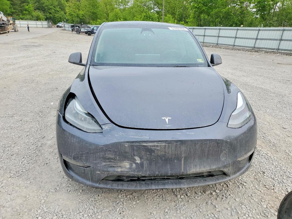 Продаж на аукціоні авто 2023 Tesla Model Y, vin: 7SAYGDEE1PF604858, номер лоту: 51694406
