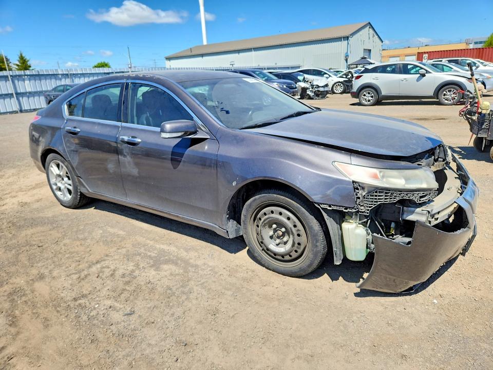 53389526 :رقم المزاد ، 19UUA96579A801703 vin ، 2009 Acura Tl مزاد بيع