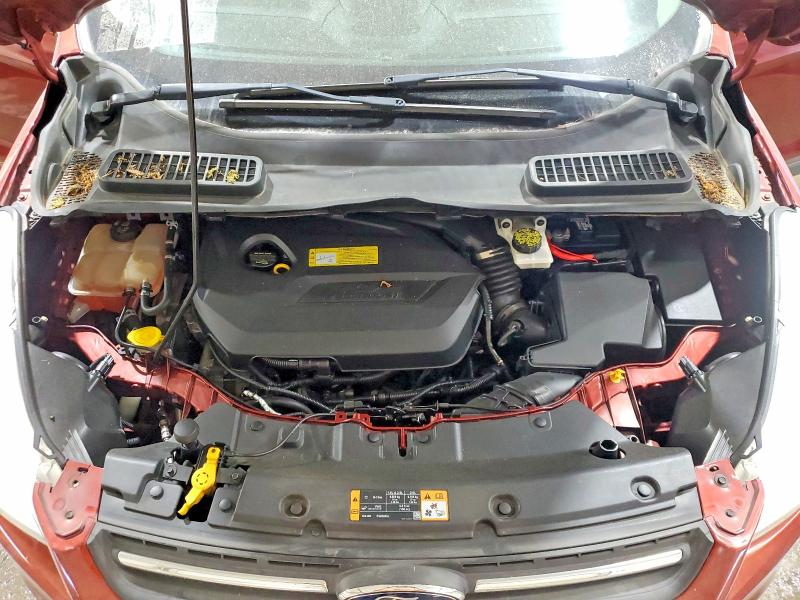 Aukcja sprzedaży 2014 Ford Escape, vin: 1FMCU0GX3EUB47588, numer aukcji: 53917386
