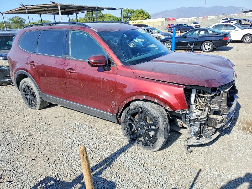 Aukcja sprzedaży 2023 Kia Telluride, vin: 5XYP5DGC1PG357019, numer aukcji: 54681286
