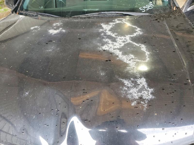 54062776 :رقم المزاد ، JH4CU2F82DC005584 vin ، 2013 Acura Tsx مزاد بيع