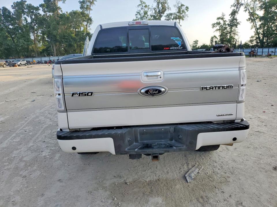 54952306 :رقم المزاد ، 1FTFW1EF0EFA27943 vin ، 2014 Ford F150 مزاد بيع