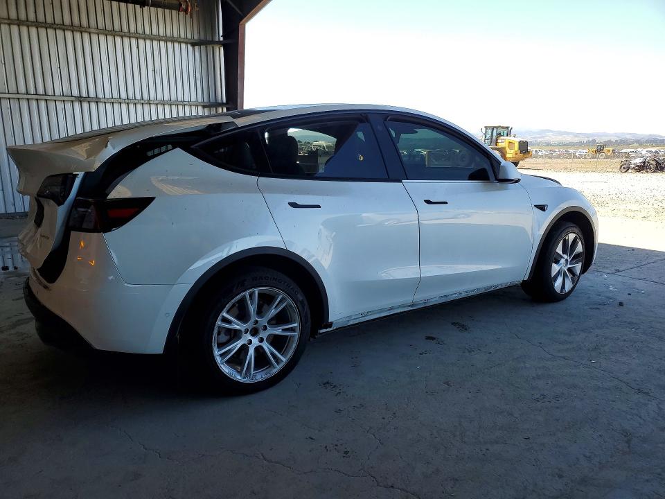 53596986 :رقم المزاد ، 5YJYGDEE0MF240506 vin ، 2021 Tesla Model Y مزاد بيع