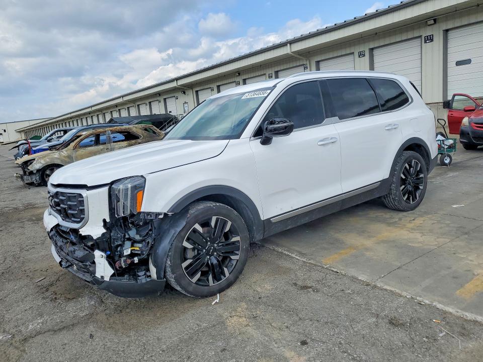 Продажа на аукционе авто 2024 Kia Telluride, vin: 5XYP5DGC7RG441705, номер лота: 51364656