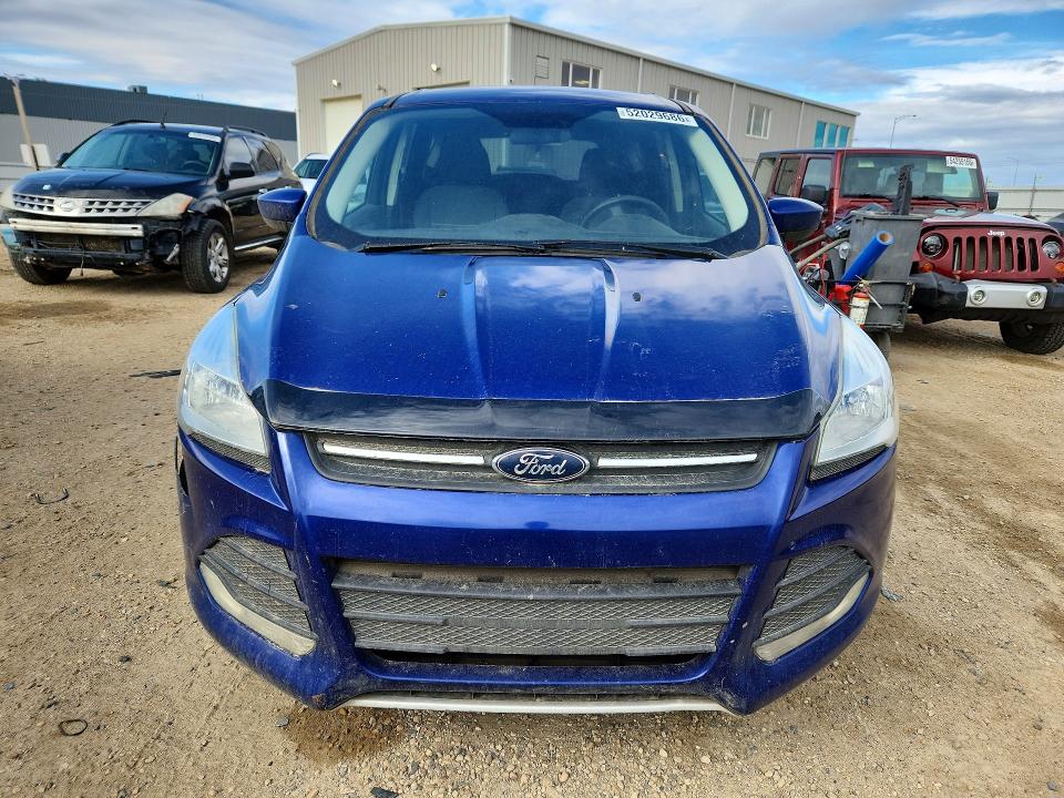 Продаж на аукціоні авто 2015 Ford Escape, vin: 1FMCU9GXXFUB75619, номер лоту: 52029686