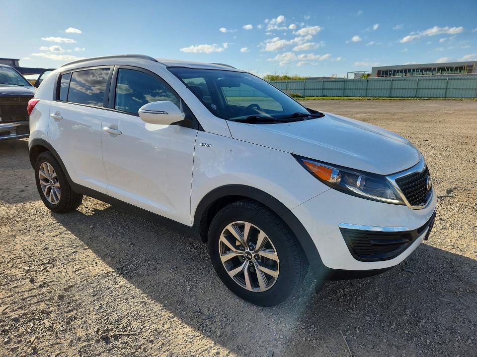 52185396 :رقم المزاد ، KNDPBCAC4E7568558 vin ، 2014 Kia Sportage مزاد بيع