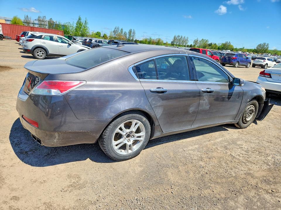 53389526 :رقم المزاد ، 19UUA96579A801703 vin ، 2009 Acura Tl مزاد بيع