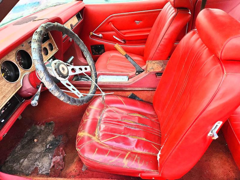 Продаж на аукціоні авто 1978 Ford Mustang, vin: 8F02Y260164, номер лоту: 53138916