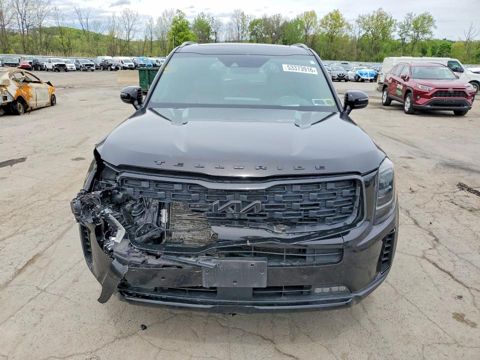 Продаж на аукціоні авто 2022 Kia Telluride, vin: 5XYP5DHC9NG210989, номер лоту: 53373916
