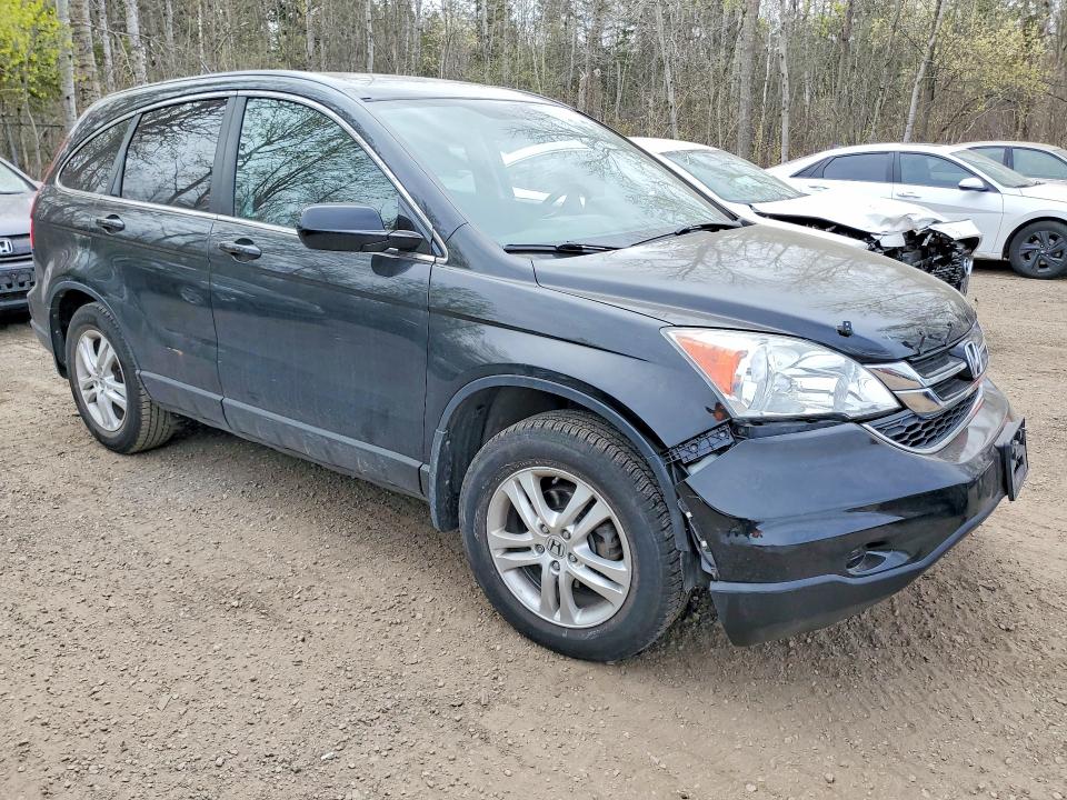 Продаж на аукціоні авто 2011 Honda Cr-v, vin: 5J6RE4H5XBL809839, номер лоту: 50941376
