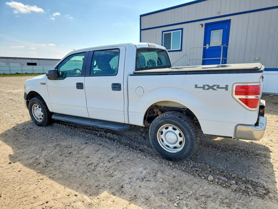 52716846 :رقم المزاد ، 1FTFW1EF8BFD31209 vin ، 2011 Ford F150 مزاد بيع