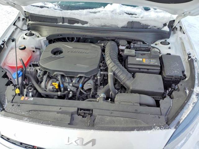 Auction sale of the 2022 Kia Forte, vin: 3KPF44ACXNE466872, lot number: 55239866