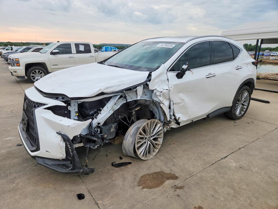 54299026 :رقم المزاد ، 2T2GKCEZ7PC010652 vin ، 2023 Lexus Nx مزاد بيع