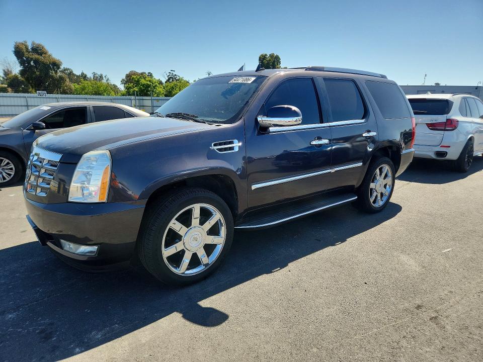 Auction sale of the 2010 Cadillac Escalade, vin: 1GYUKBEF4AR238929, lot number: 54471086