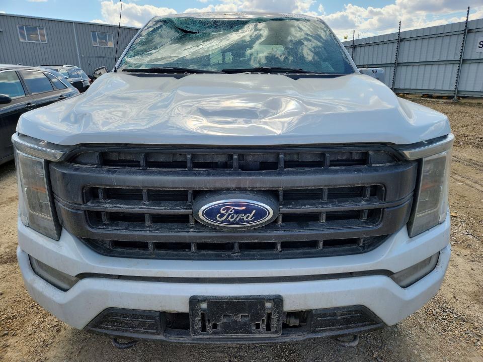 Продажа на аукционе авто 2021 Ford F150, vin: 1FTEW1EP7MKD49697, номер лота: 51872436