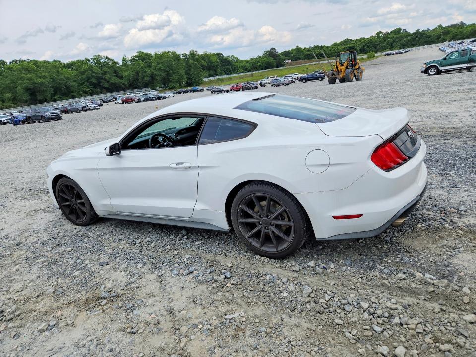 52809256 :رقم المزاد ، 1FA6P8TH5K5184532 vin ، 2019 Ford Mustang مزاد بيع