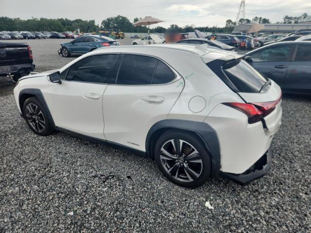 2020 Lexus Ux მანქანა იყიდება აუქციონზე, vin: JTHP9JBH1L2022402, აუქციონის ნომერი: 55206566
