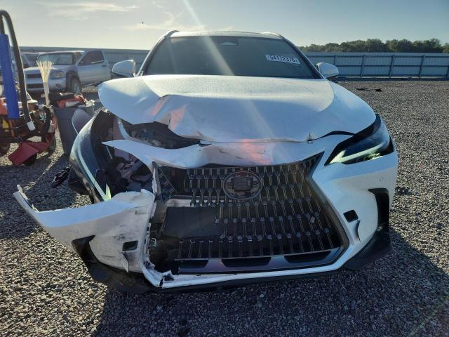 Продаж на аукціоні авто 2023 Lexus Nx, vin: JTJGDCAZXP5010322, номер лоту: 54172376