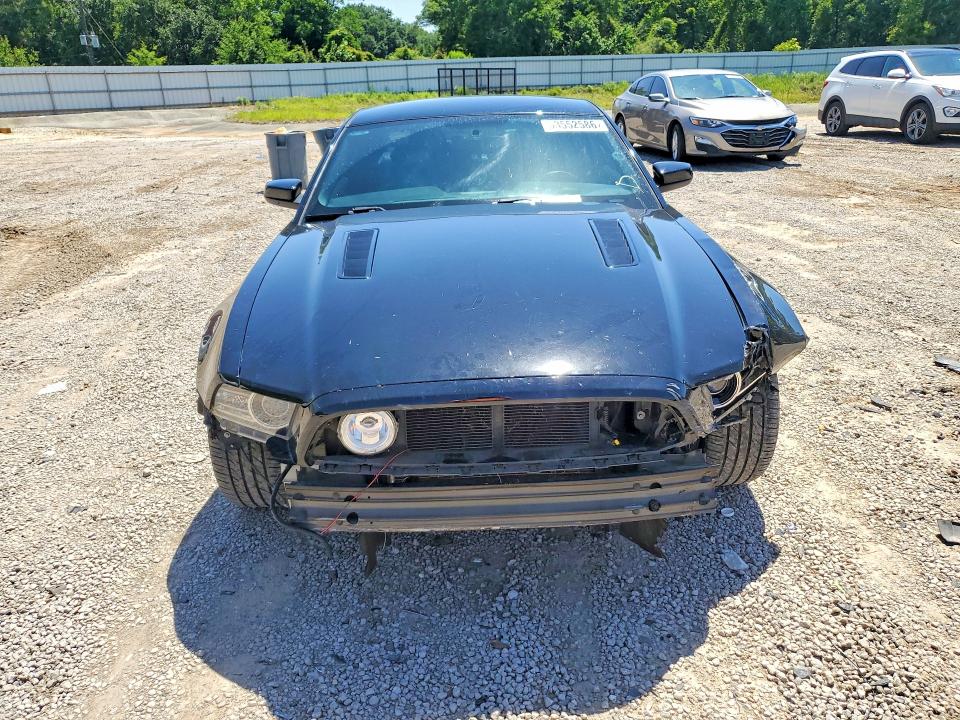 53552586 :رقم المزاد ، 1ZVBP8CF1E5330031 vin ، 2014 Ford Mustang مزاد بيع