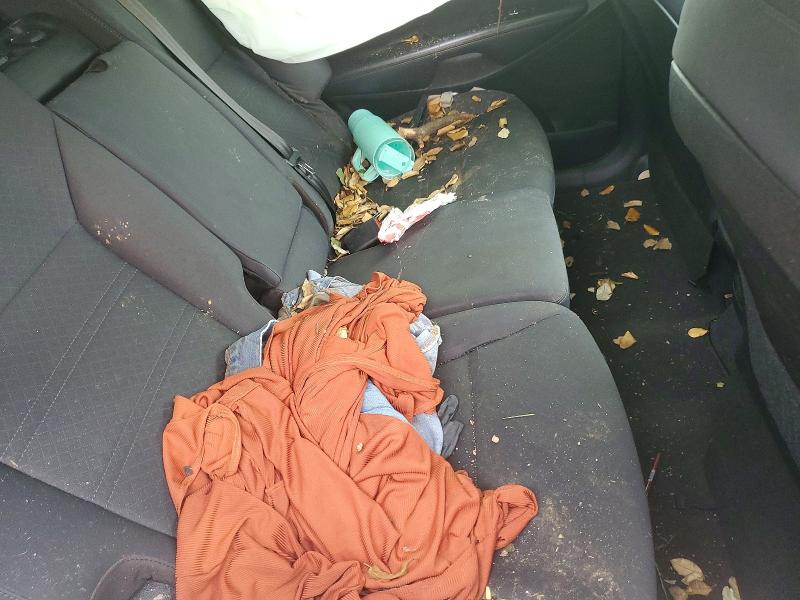 Aukcja sprzedaży 2019 Kia Sorento, vin: 5XYPG4A3XKG582471, numer aukcji: 55376846