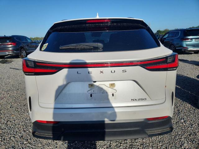 Продаж на аукціоні авто 2023 Lexus Nx, vin: JTJGDCAZXP5010322, номер лоту: 54172376