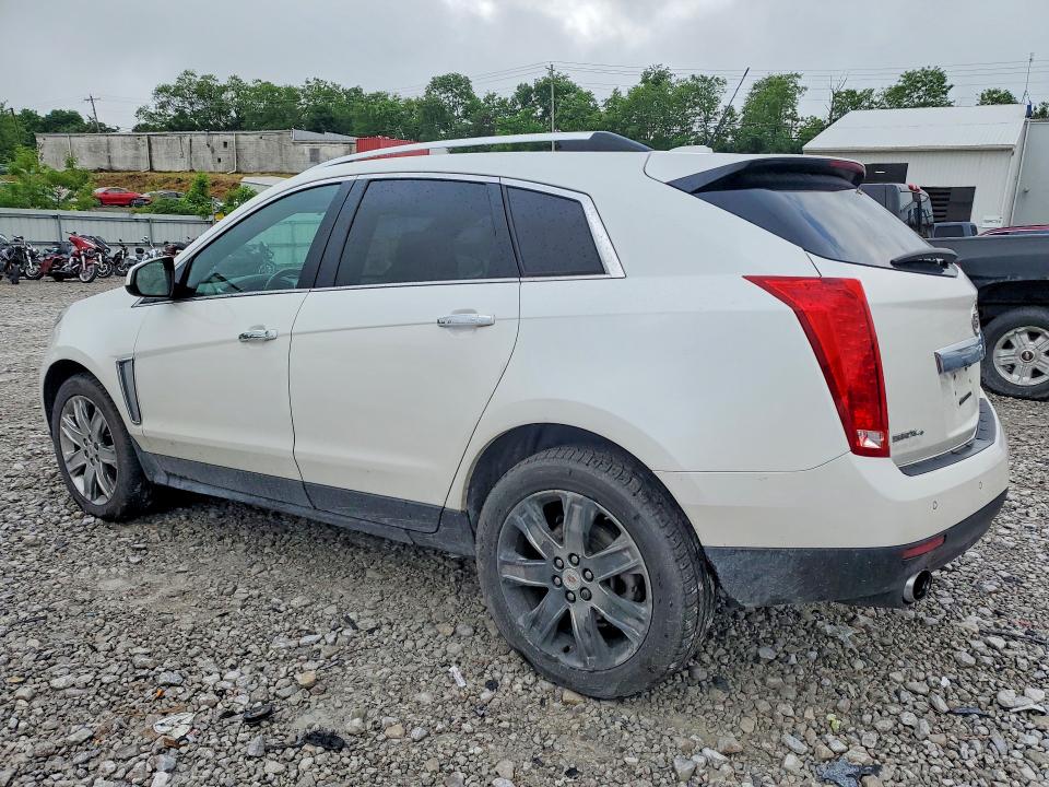 Продаж на аукціоні авто 2016 Cadillac Srx, vin: 3GYFNDE35GS543573, номер лоту: 54321056