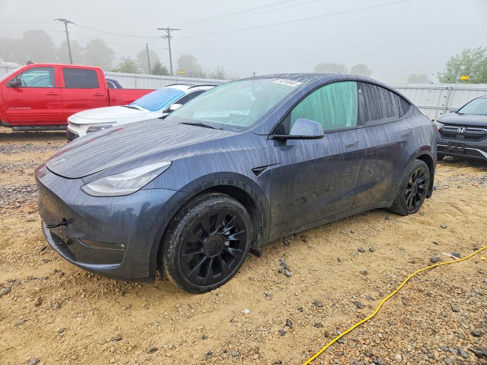 Продаж на аукціоні авто 2021 Tesla Model Y, vin: 5YJYGDEE0MF232566, номер лоту: 54810046