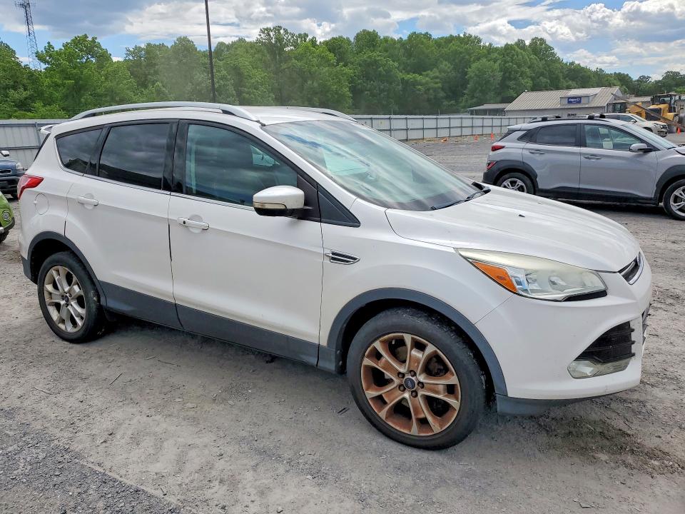 Продаж на аукціоні авто 2014 Ford Escape, vin: 1FMCU9J91EUC54010, номер лоту: 55113076