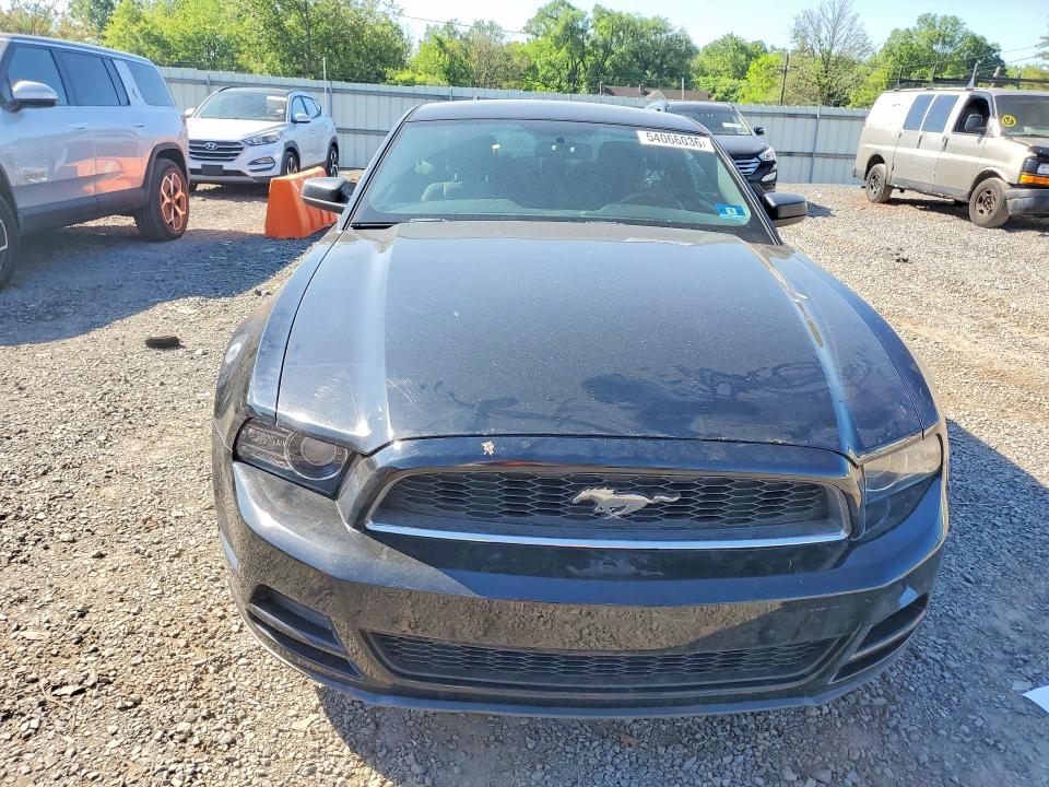 Продаж на аукціоні авто 2013 Ford Mustang, vin: 1ZVBP8AMXD5250498, номер лоту: 54066036