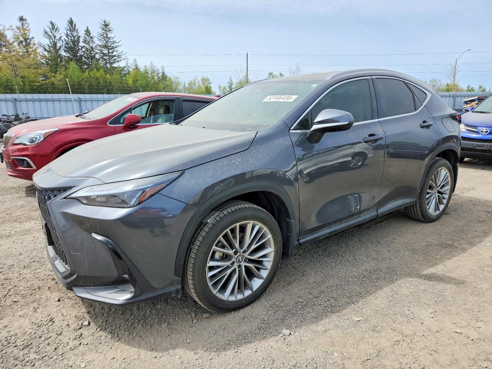Продажа на аукционе авто 2026 Lexus Nx 350, vin: 2T2GGCEZ8TC096887, номер лота: 53166436