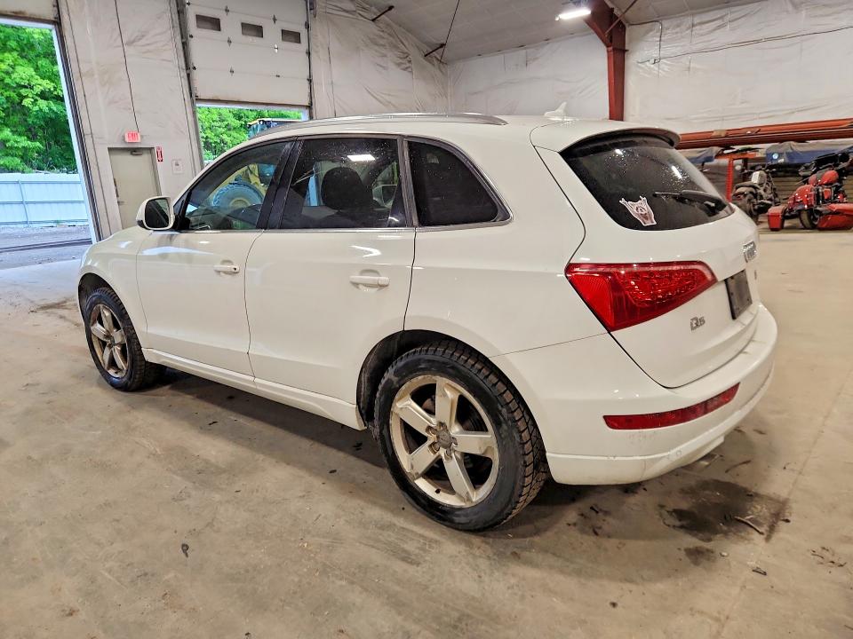 2009 Audi Q5 მანქანა იყიდება აუქციონზე, vin: WA1KK78R89A043386, აუქციონის ნომერი: 55552446