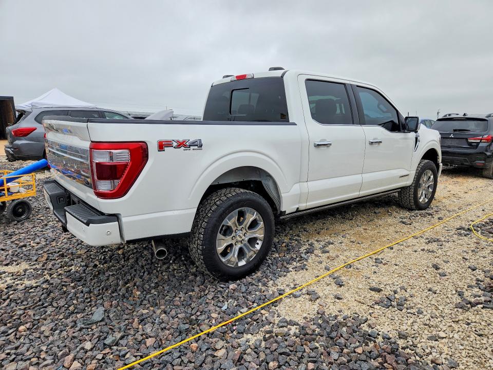 Aukcja sprzedaży 2023 Ford F150, vin: 1FTFW1ED2PFB29424, numer aukcji: 53325216