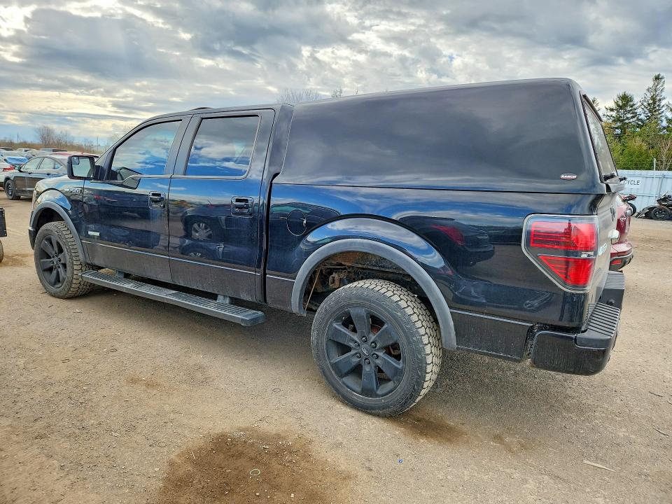 Продажа на аукционе авто 2014 Ford F150, vin: 1FTFW1ET7EFA50268, номер лота: 53230166