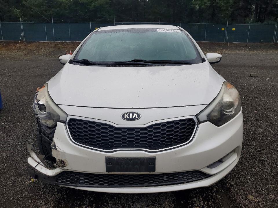 53790786 :رقم المزاد ، KNAFX4A63G5455824 vin ، 2016 Kia Forte مزاد بيع