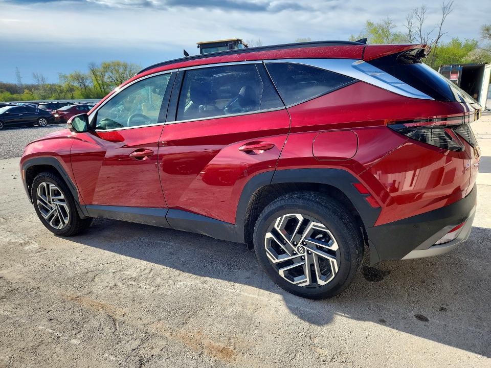 Продажа на аукционе авто 2025 Hyundai Tucson, vin: KM8JEDD12SU374052, номер лота: 52186436