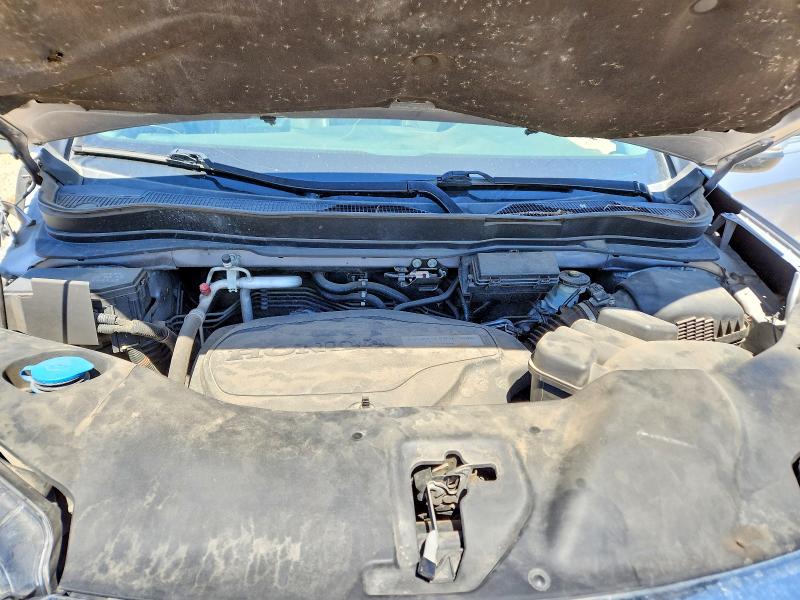 Продаж на аукціоні авто 2019 Honda Pilot, vin: 5FNYF5H51KB007865, номер лоту: 53717746