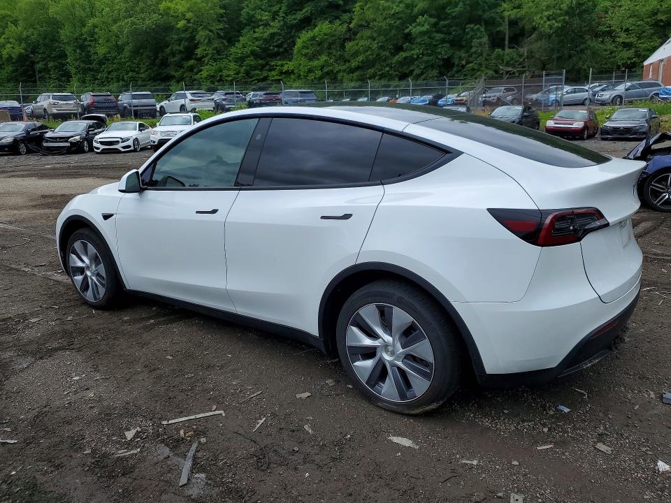 Aukcja sprzedaży 2024 Tesla Model Y, vin: 7SAYGDEE3RF083936, numer aukcji: 53823266