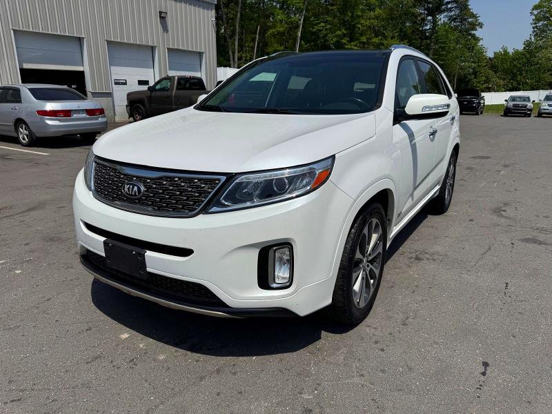 Auction sale of the 2014 Kia Sorento, vin: 5XYKWDA73EG522892, lot number: 54301126