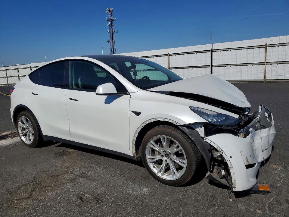 53269446 :رقم المزاد ، 5YJYGDEE9MF214955 vin ، 2021 Tesla Model Y مزاد بيع