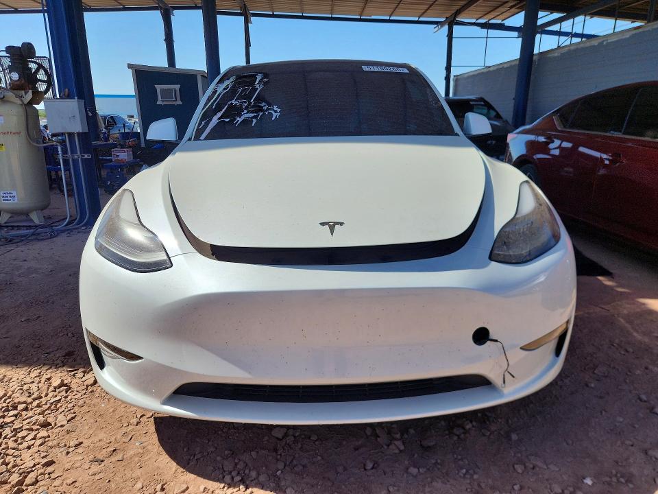 Aukcja sprzedaży 2024 Tesla Model Y, vin: 7SAYGDEF8RF052092, numer aukcji: 51180266