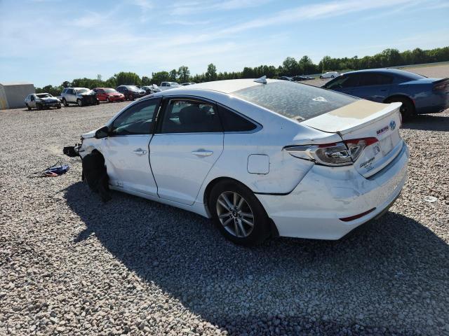53641316 :رقم المزاد ، 5NPE24AF4GH319117 vin ، 2016 Hyundai Sonata مزاد بيع
